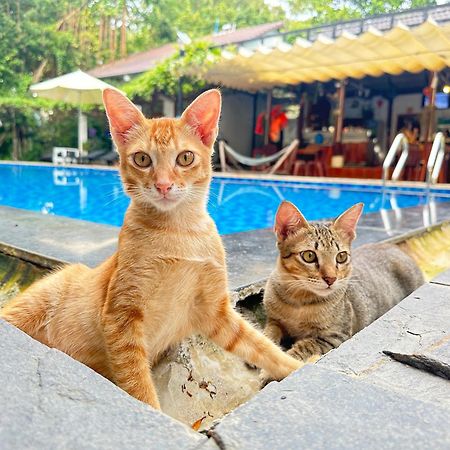 Have Fun Phu Quoc Vila Exterior foto