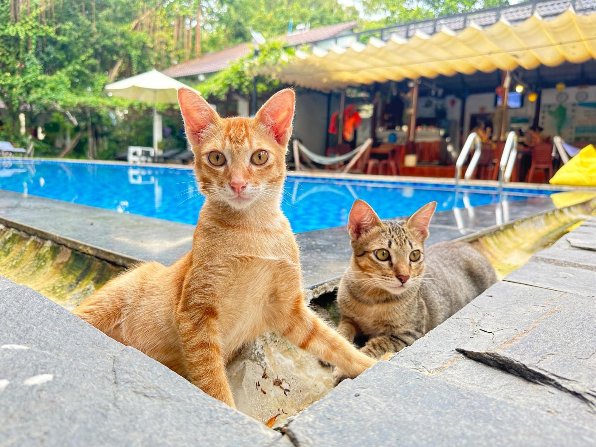 Have Fun Phu Quoc Vila Exterior foto